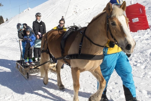 Cool Runnings! Και ο Πρίγκιπας Joachim θέλει το χιόνι του