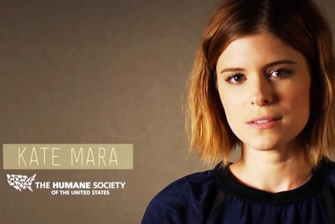Kate Mara: Να γιατί δεν θέλει να τρως κρέας τις Δευτέρες