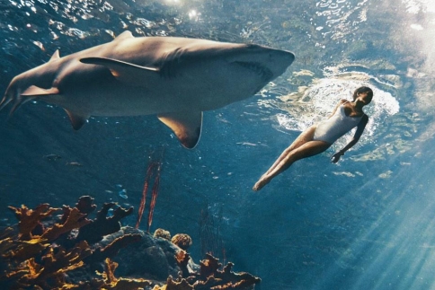 Rihanna: Κολύμπι με έναν καρχαρία δίπλα της!