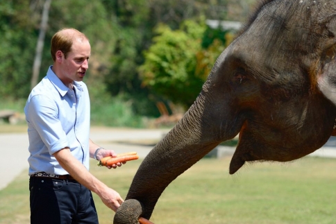 Prince William: Η γνωριμία με έναν ελέφαντα!