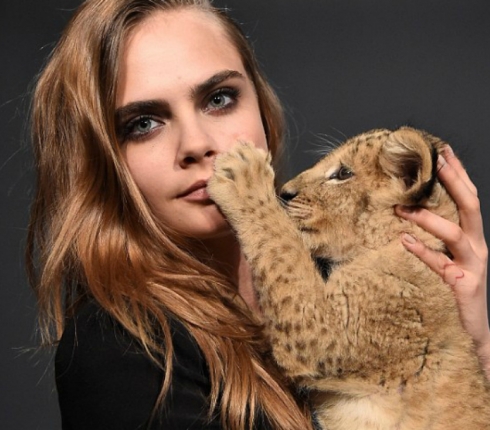 Aτρόμητη η Cara Delevingne! Της επιτέθηκε λιοντάρι και δεν της άφησε ούτε γρατζουνιά