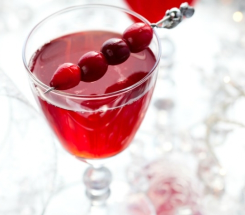 Πολυτελές Cranberry Martini - Κεντρική Εικόνα