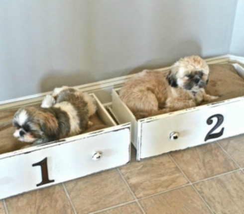7 DIY τρόποι για να φτιάξετε κρεβατάκια σκύλων
