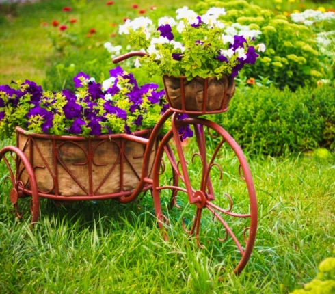 Join us Κηπουρική :Πώς θα γίνεις σωστός κηπουρός;