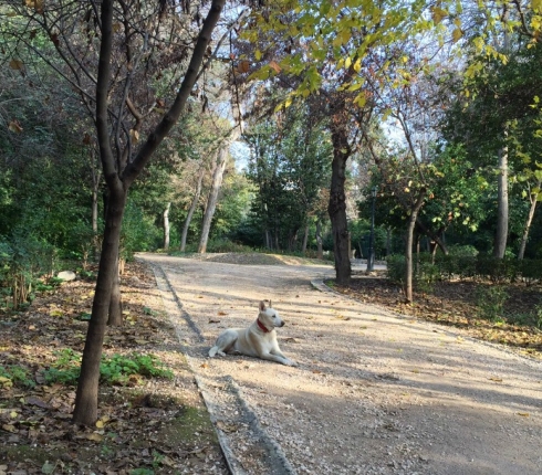 Απόδραση στον Εθνικό Κήπο! Δεν φαντάζεσαι τι μυστικά κρύβει