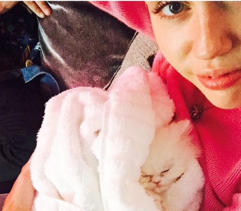 To είδαμε και αυτό! Το γατάκι της Miley Cyrus απέκτησε 30.000 followers σε μια μισή μέρα