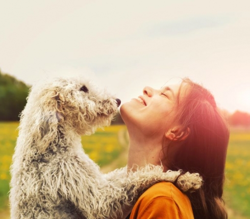 Αυτές είναι οι πιο dog friendly πόλεις στον κόσμο