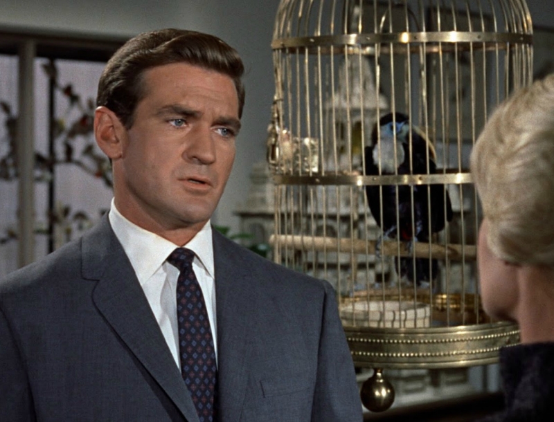 Rod Taylor: Πέθανε o διάσημος πρωταγωνιστής από τα "Πουλιά" του Hitchcock Rod Taylor: Πέθανε o διάσημος πρωταγωνιστής από τα "Πουλιά" του Hitchcock