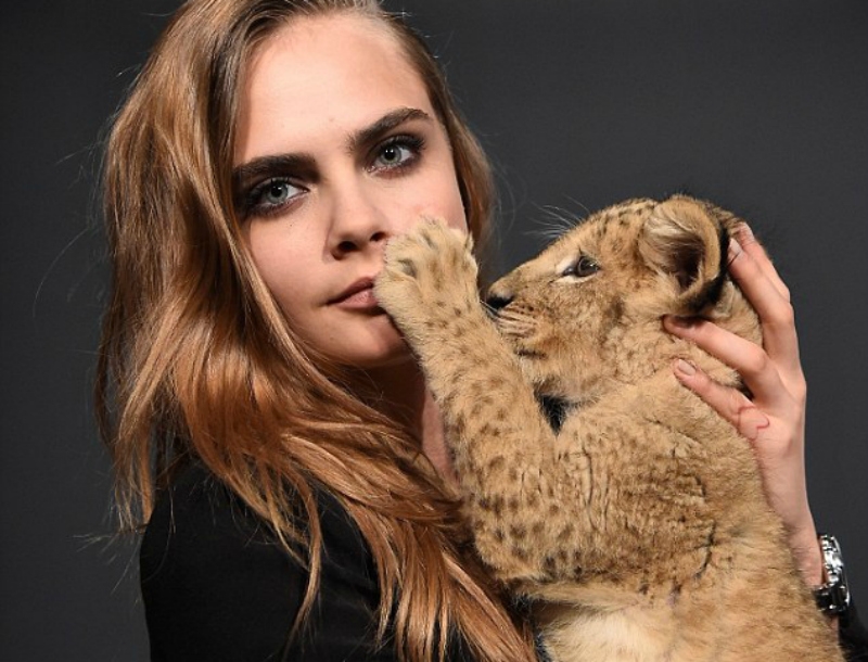 Aτρόμητη η Cara Delevingne! Της επιτέθηκε λιοντάρι και δεν της άφησε ούτε γρατζουνιά