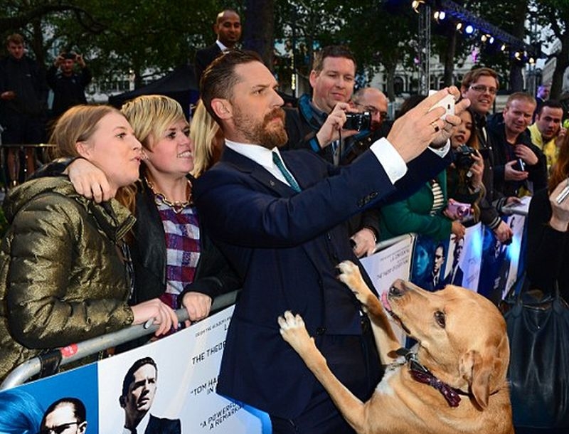 Tom Hardy : Πήγε στην πρεμιέρα της νέας του ταινίας με τον σκύλο του!