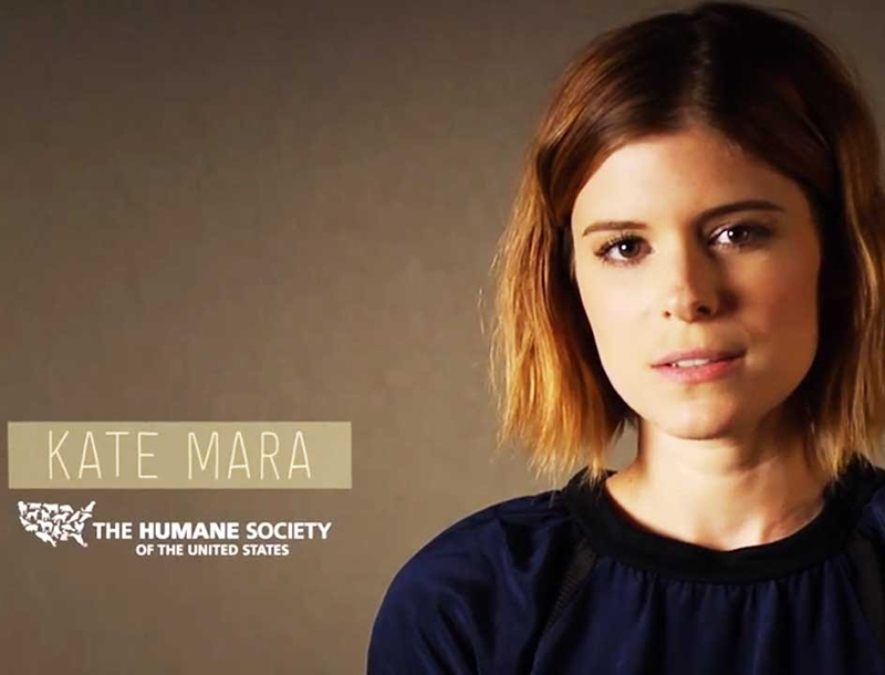 Kate Mara: Να γιατί δεν θέλει να τρως κρέας τις Δευτέρες