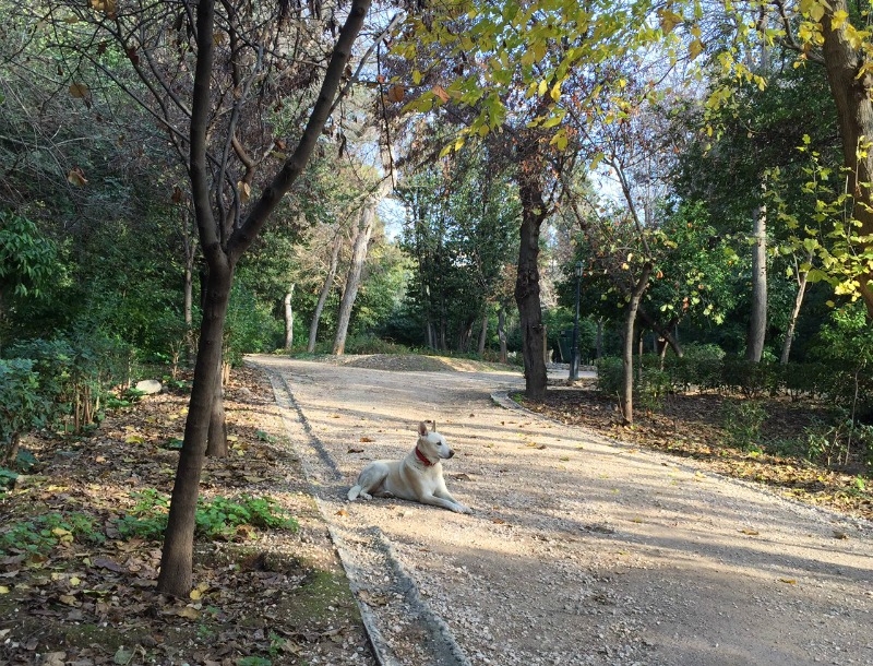 Απόδραση στον Εθνικό Κήπο! Δεν φαντάζεσαι τι μυστικά κρύβει