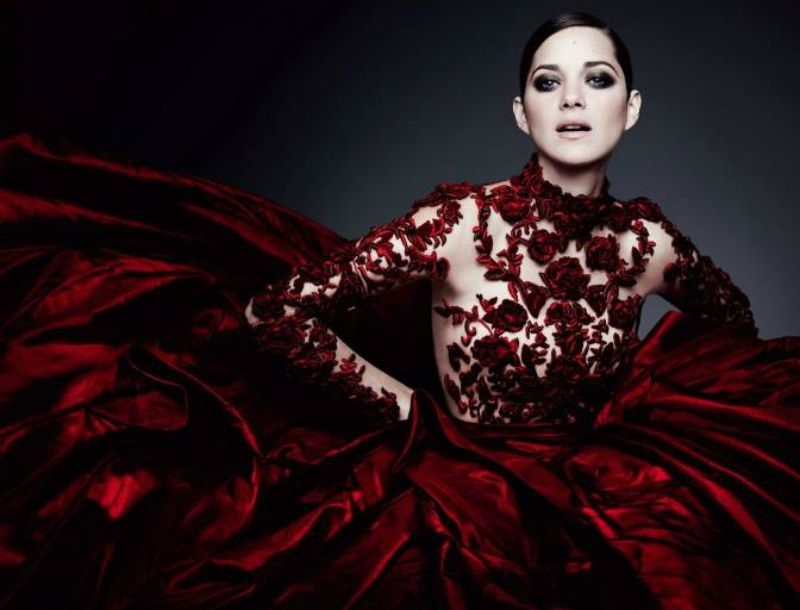 Aυτή είναι η αιτία που χώρισαν Brad Pitt - Angelina Jolie: Έγκυος η Marion Cotillard! Aυτή είναι η αιτία που χώρισαν Brad Pitt - Angelina Jolie: Έγκυος η Marion Cotillard!