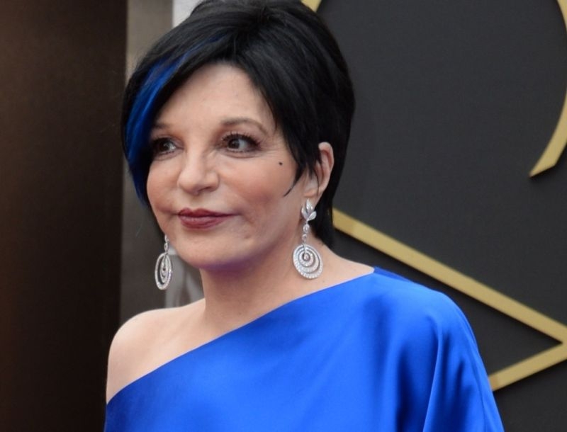 Liza Minnelli: Ξανά σε κλινική αποτοξίνωσης