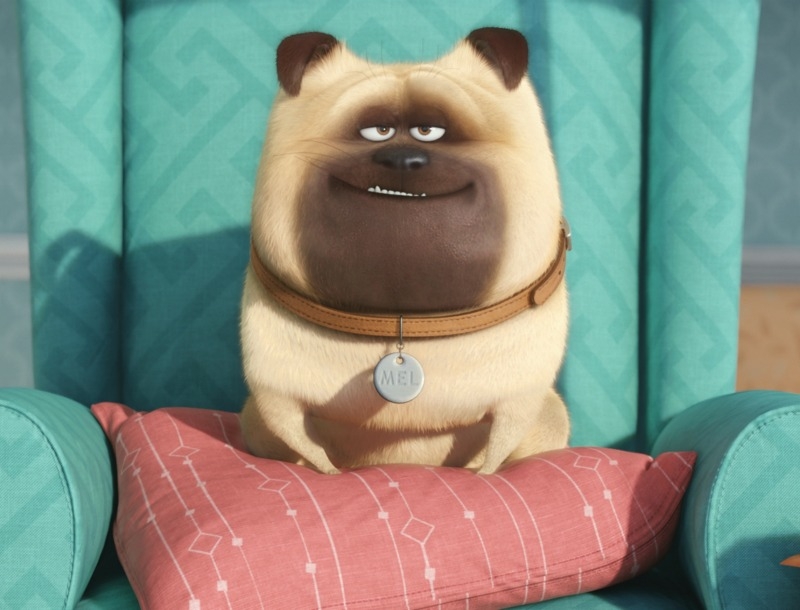 The Secret Life Of Pets: Το animation που θα σε συναρπάσει (trailer)