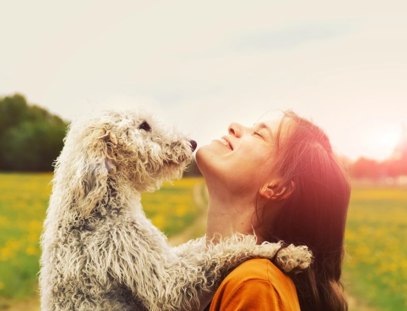 Αυτές είναι οι πιο dog friendly πόλεις στον κόσμο